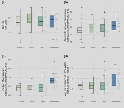 Figure 6. October 2025 post treatment results for soil pH, SIR, carbon mineralization, and WHC after one year. (a) Soil pH was elevated under the early soil inoculation treatments (Estimate: 0.14550 ± 0.05964, P = 0.0178), (b) while SIR (Estimate: 2.8342 ± 1.2648, P = 0.029) was higher under the reference whole soil treatment, (c) along with carbon mineralization (Estimate: 96.27± 16.61, P = 3.11e-07), (c) and water holding capacity (Estimate: 0.19446± 0.05341, P = 0.000587). Triangles in the boxplot represent outliers.