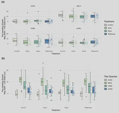Figure 5. Tree seedling height by species was different across treatments and species. Early successional treatment (Estimate: -17.7176 ±7.2927, P = 0.0155) and mycorrhizal treatment (Estimate: -18.1759±7.1839 P = 0.0117) had less black cherry seedlings growth than the control. Maples, birch, and oak were not individually different between treatments, however, generally birch grew the most, followed by cherry, oak, and maple. Triangles in the boxplot represent outliers.